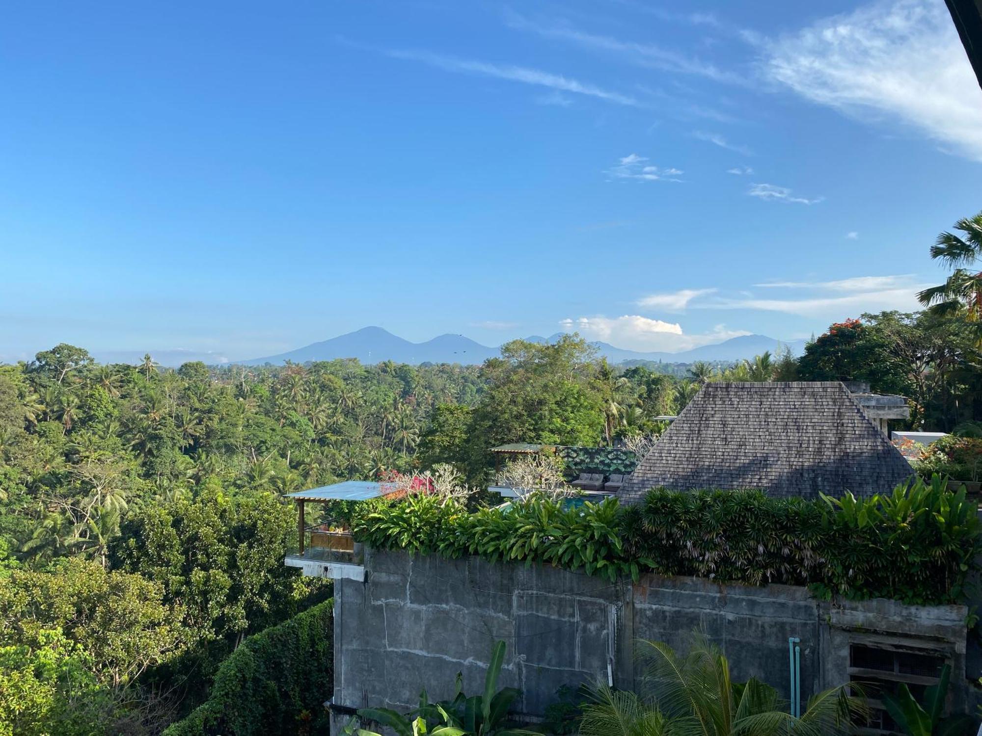 Brata Cottage Ubud Экстерьер фото