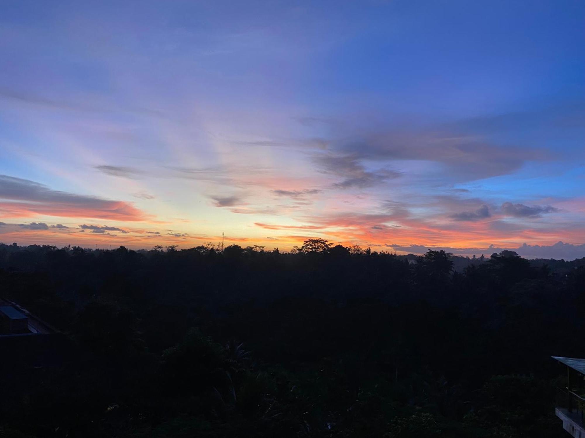Brata Cottage Ubud Экстерьер фото