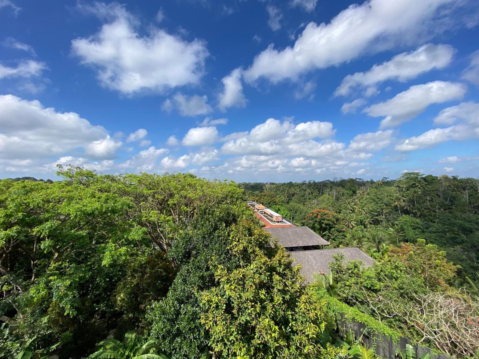 Brata Cottage Ubud Экстерьер фото