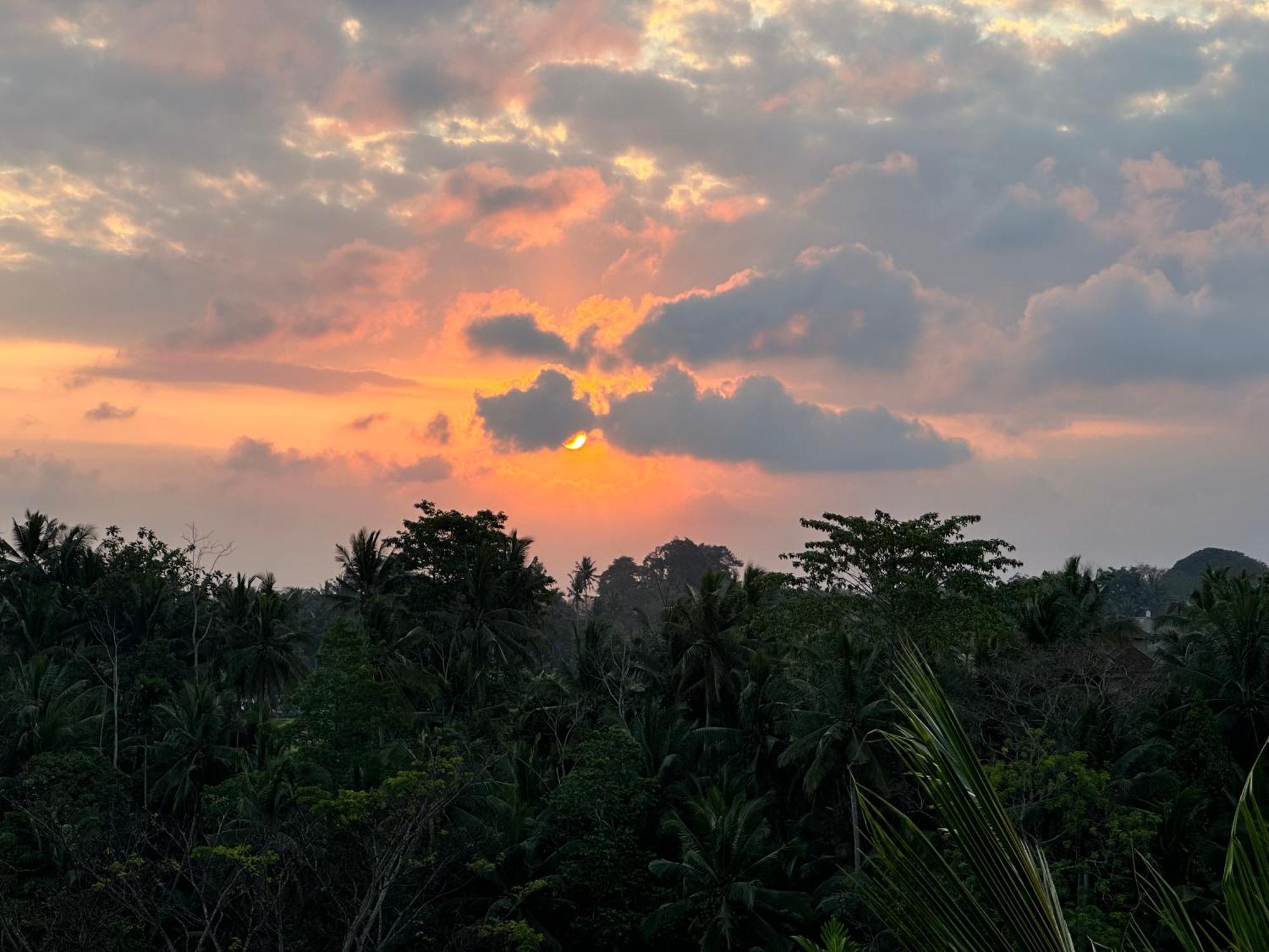 Brata Cottage Ubud Экстерьер фото
